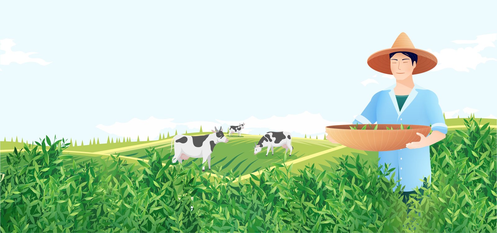 Agriculture Insurance
